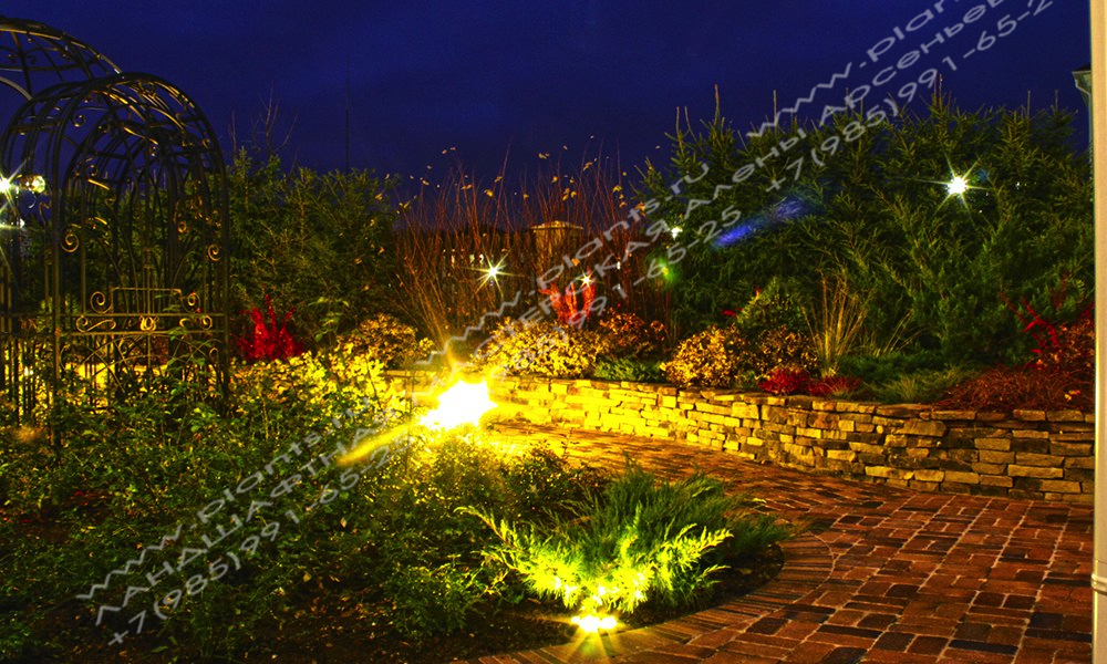 Дизайн сада - освещение участка розария